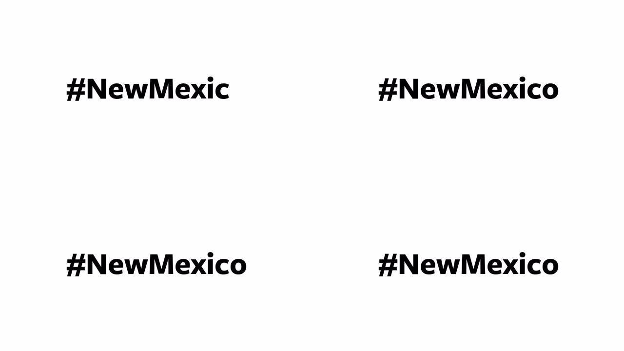 一个人在他们的电脑屏幕上输入 “# NewMexico”