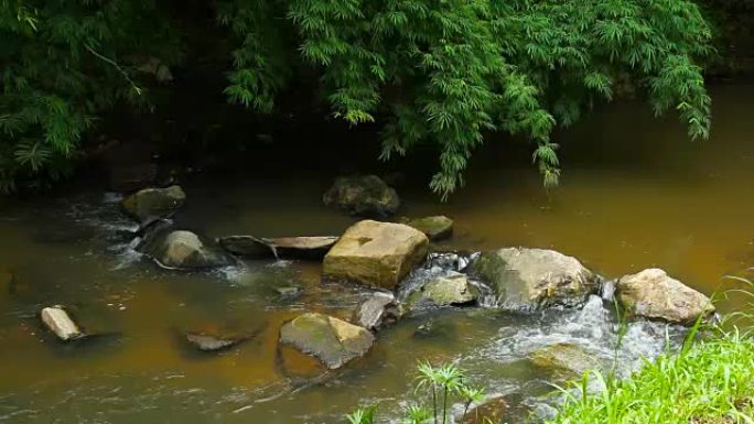 溪水在森林中流动水沟