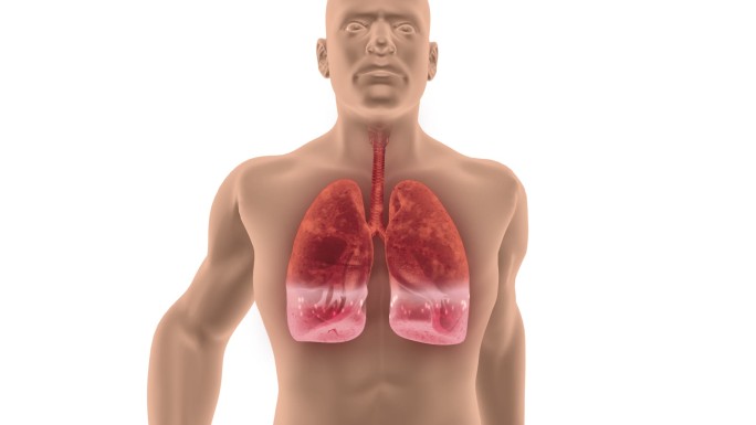 体肺 清肺 呼吸 润肺 咳嗽  肺 气管