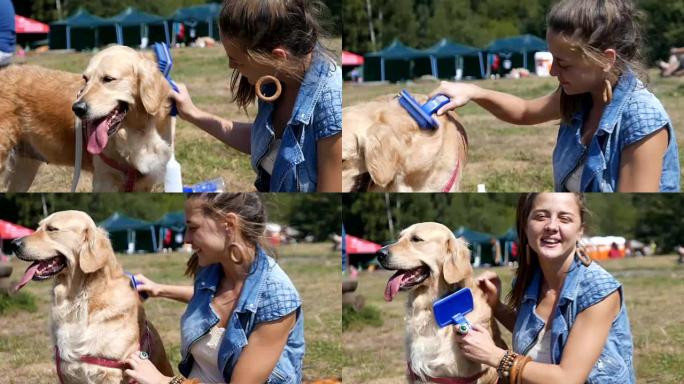 迷人的女孩在户外刷牙或梳理她的金毛猎犬狗