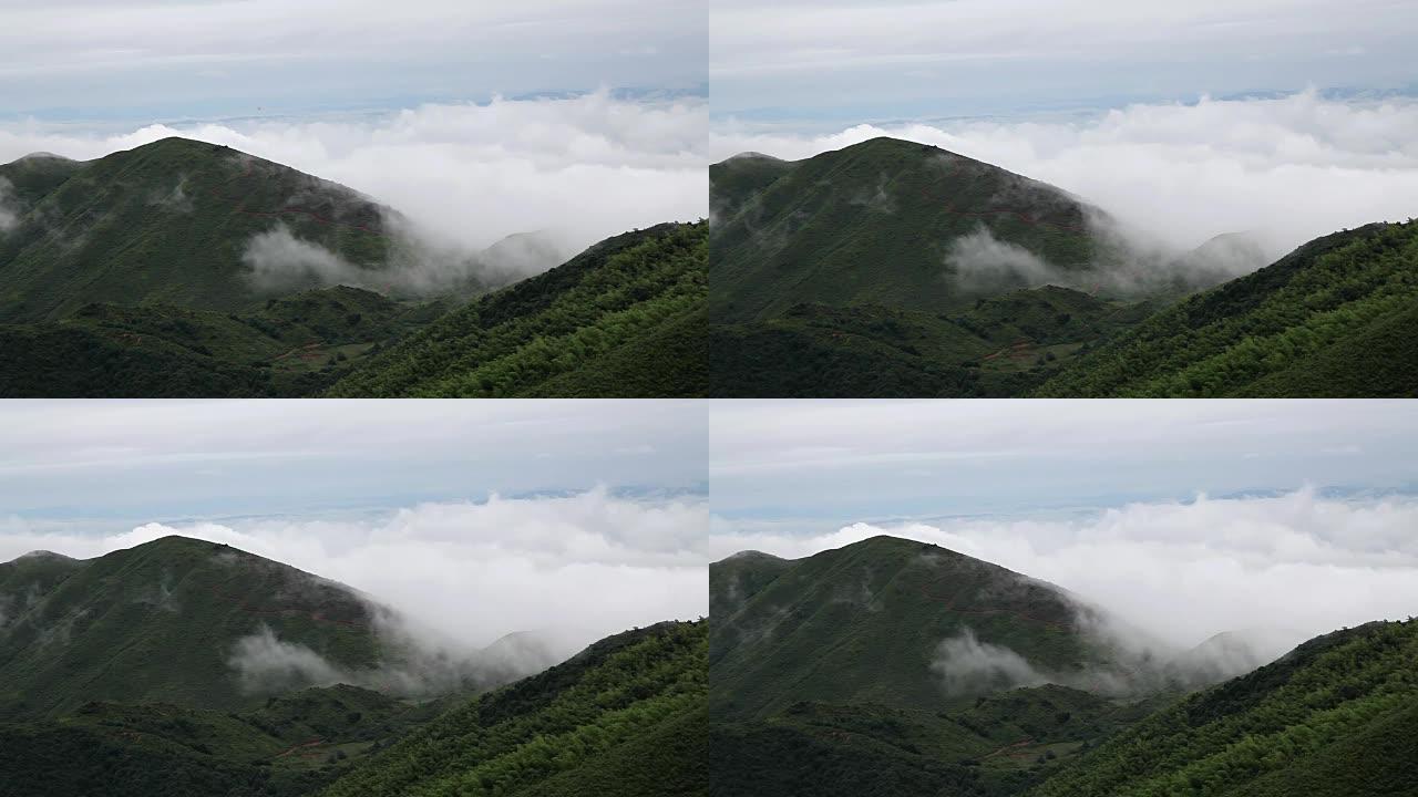 山林覆盖云层的鸟瞰图
