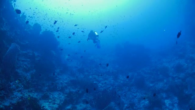 深海礁石、水下、水肺潜水