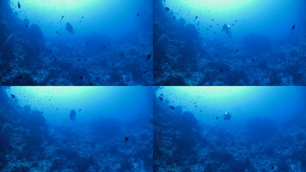 深海礁石、水下、水肺潜水