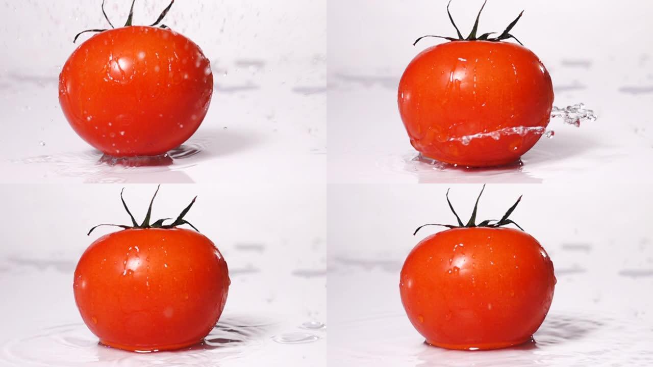 超级慢动作: 西红柿掉落在地板上，溅水