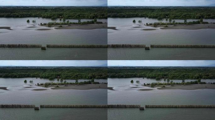 泰国罗勇的海边和红树林上的竹制防波堤