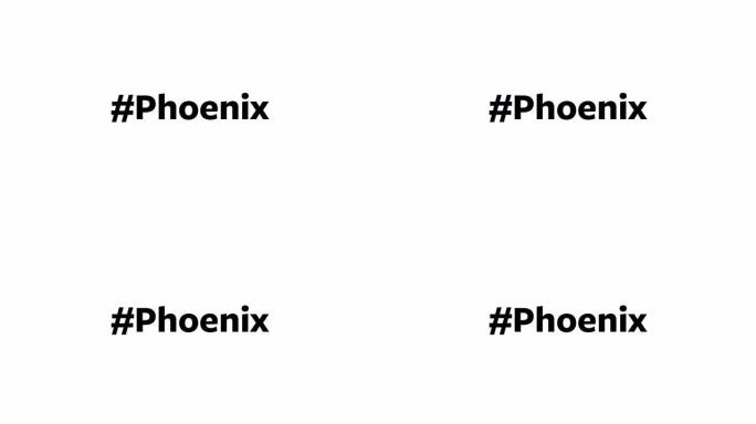 一个人在他们的电脑屏幕上输入 “# Phoenix”