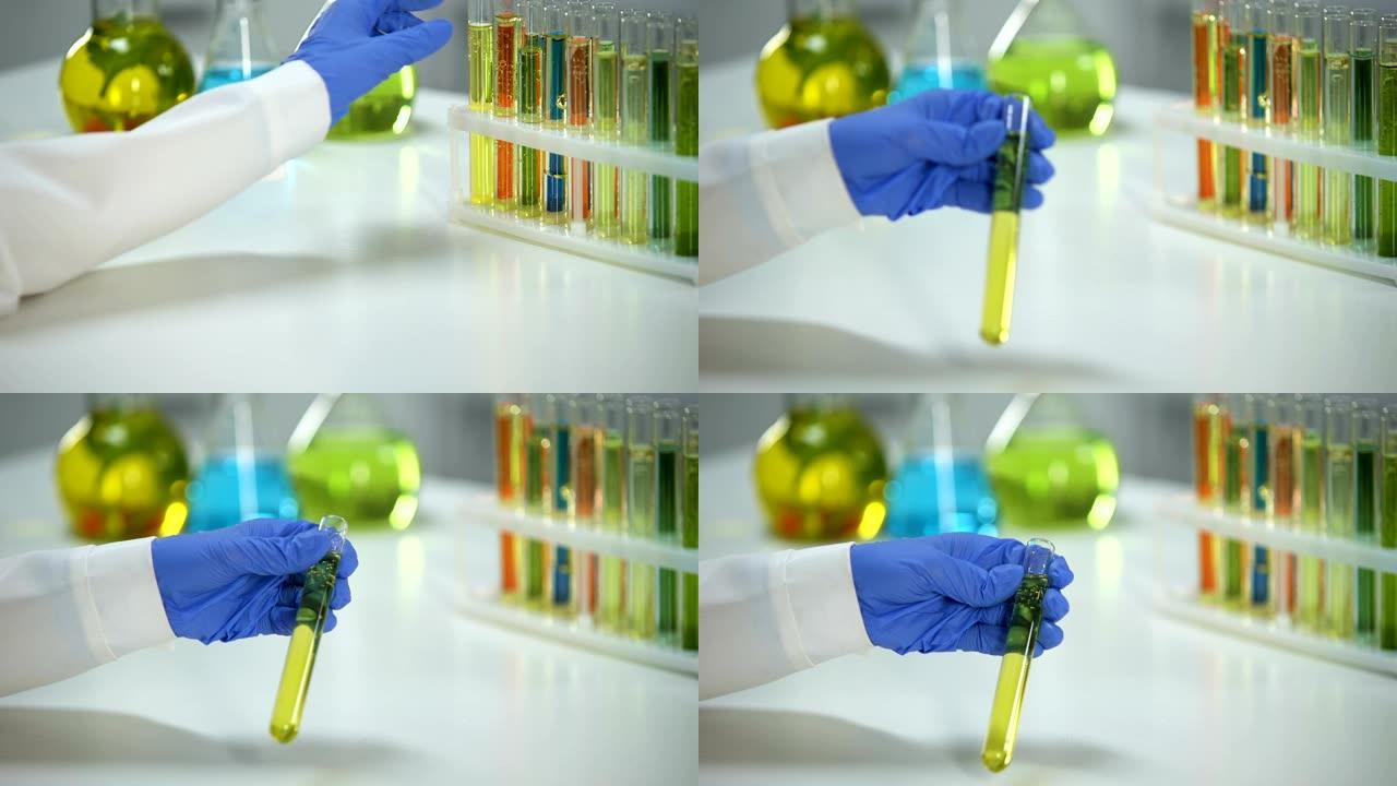 实验室助理持管，带黄色透明液体，香料提取物