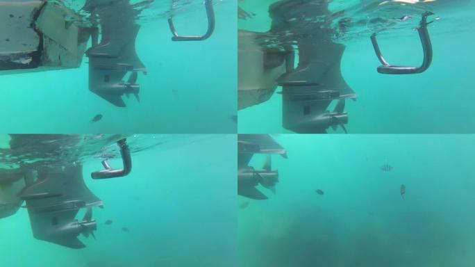 水下螺旋桨游艇海域海鱼