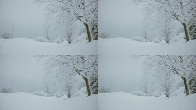 挪威卑尔根的冬天: 大雪纷飞的日子