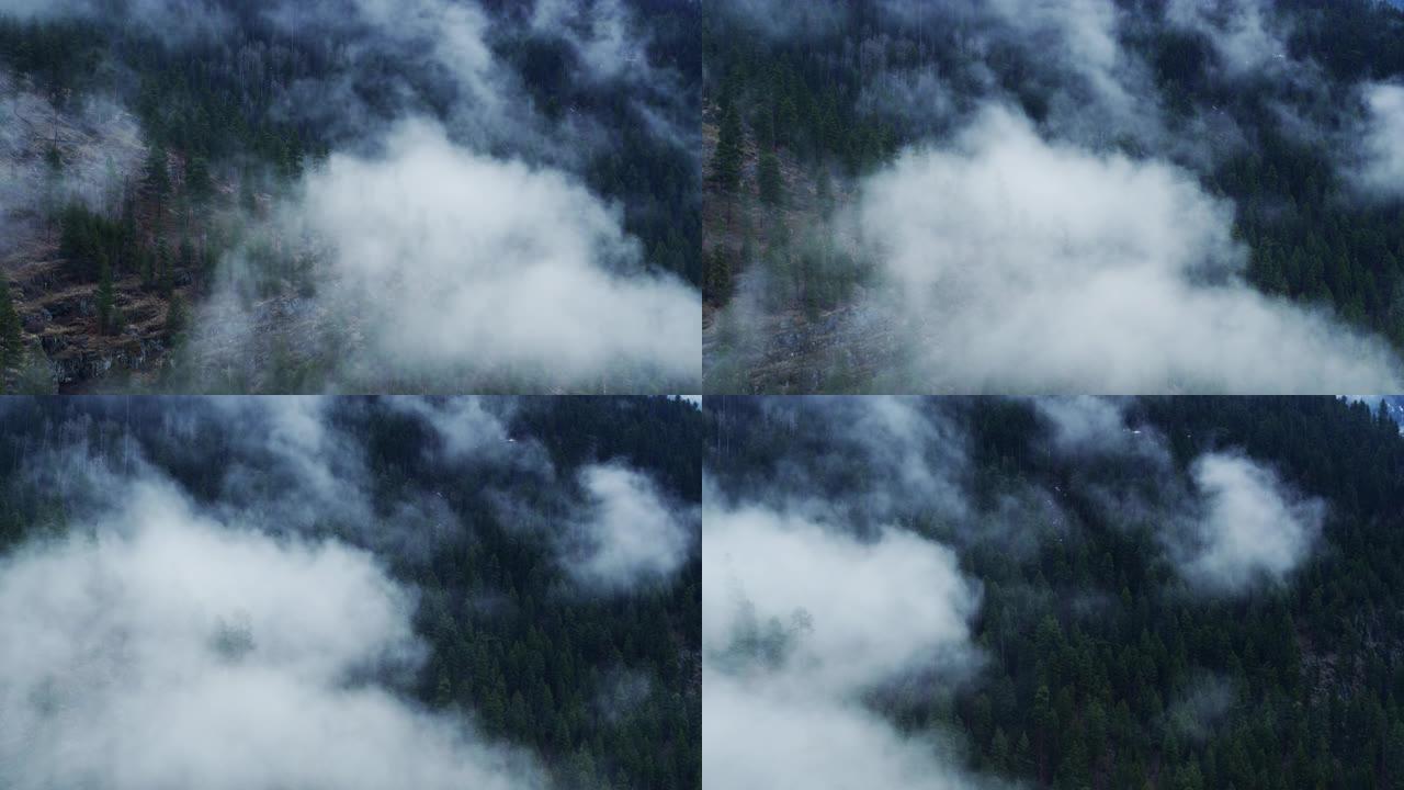 雾气从蒙大拿州库卡努萨湖上方的树木升起-无人机射击