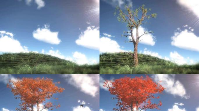 延时动画树生长延时动画树生长大树发芽