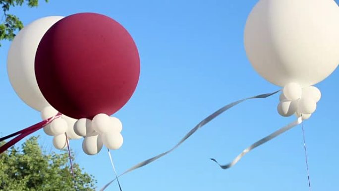 庆祝活动中的气球。高清视频