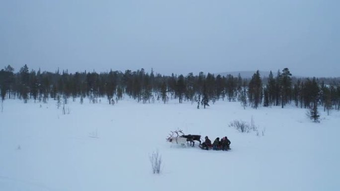 人们坐在深雪上的驯鹿雪橇上