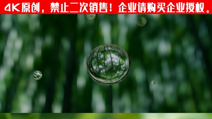 树叶 水滴 叶 水  大自然水