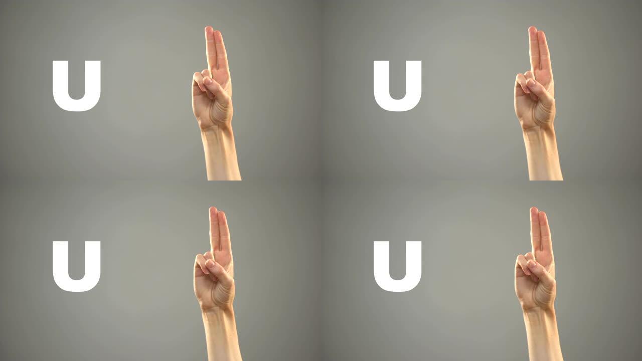 手语字母U，背景，聋人交流，课程