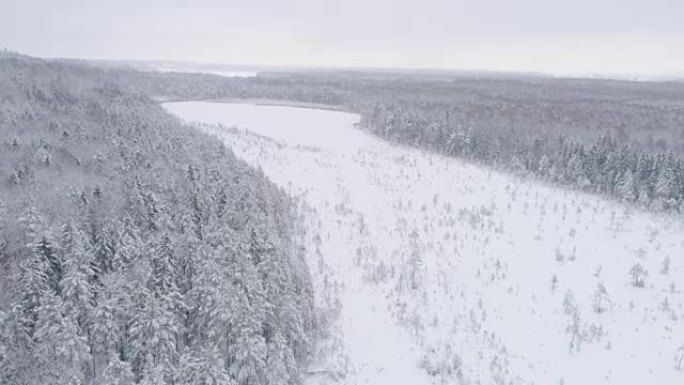 从上方看森林冰天雪地冰雪覆盖高寒地带