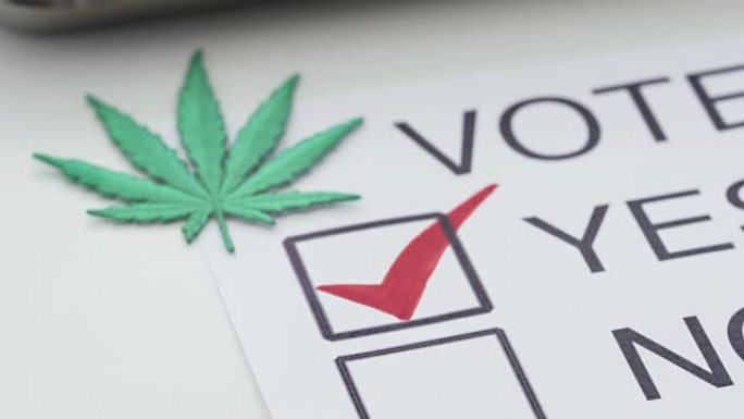 对医用大麻投赞成票