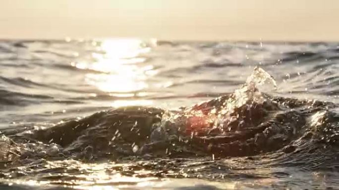 SLO MO TS男性公开水域游泳运动员在海上游泳，背景是太阳