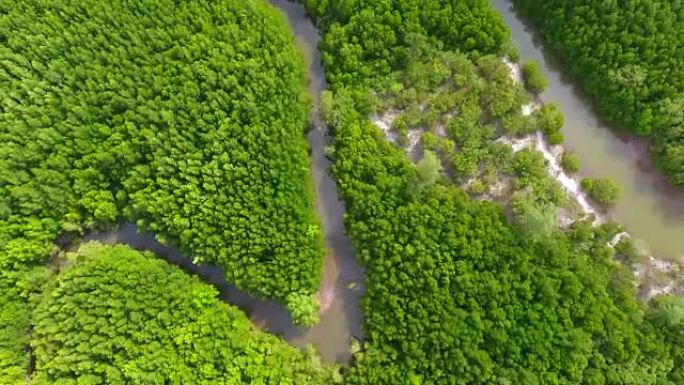 泰国trang省红树林和海洋的鸟瞰图，