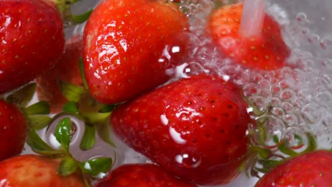 4k宏，特写在水槽里洗草莓。