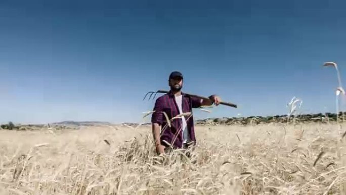 麦田农民麦子地国外一个男人背着叉子