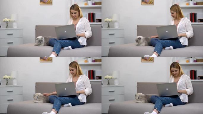 女孩在笔记本电脑上搜索兽医网站以注册cat进行兽医咨询