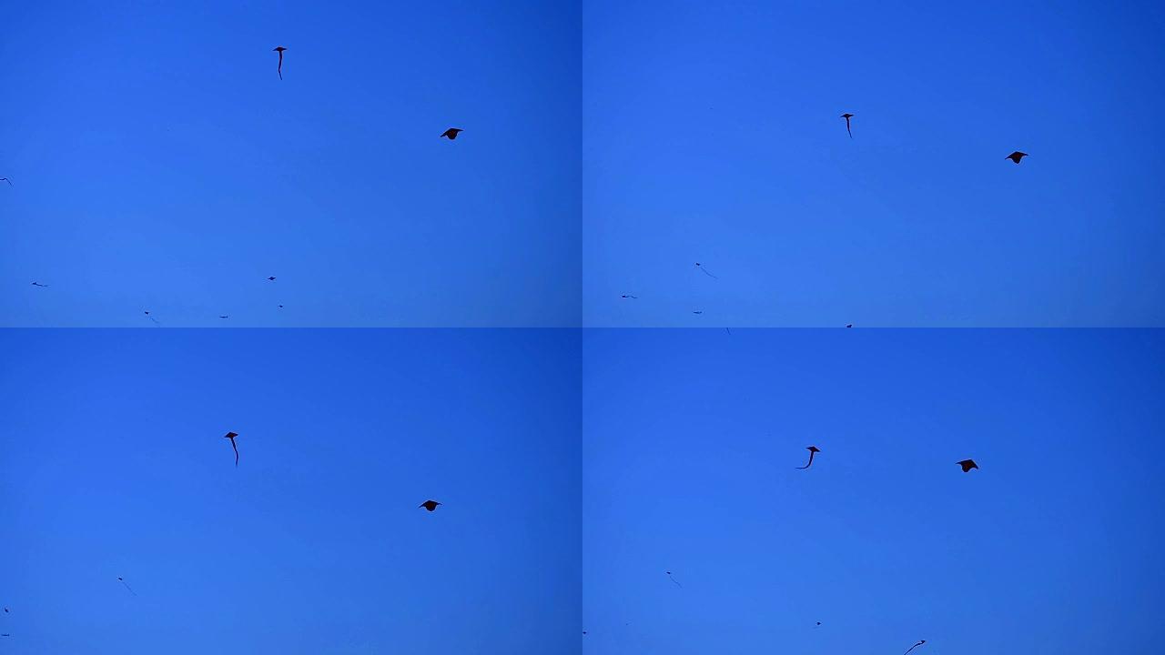 天空上的风筝天空上的风筝
