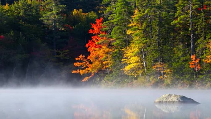 新罕布什尔州一个小池塘上的秋雾