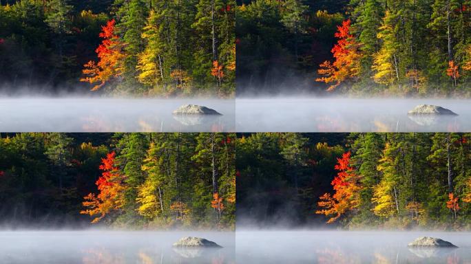 新罕布什尔州一个小池塘上的秋雾
