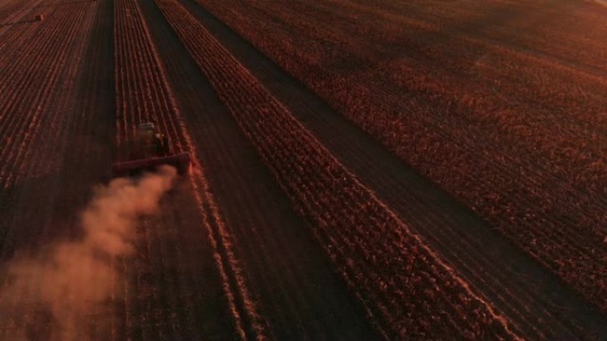 在科罗拉多州西部日落时分，拖拉机在尘土飞扬的玉米田上拉动犁/排头的空中无人机拍摄