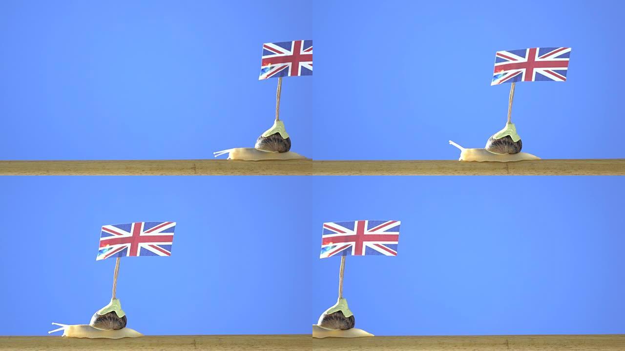 花园蜗牛举着英国国旗的超高清视频