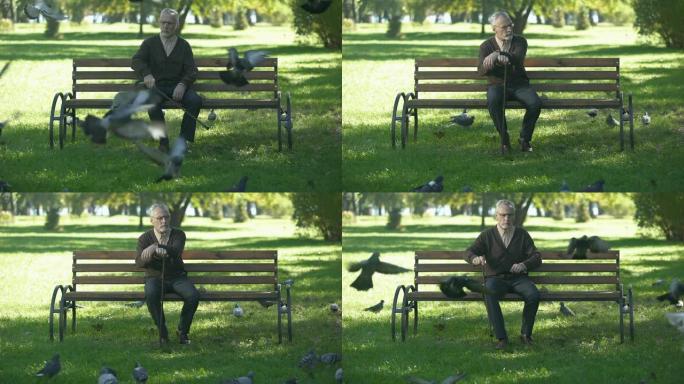 老心烦意乱的男性愤怒地在公园放鸽子，孤独和退休