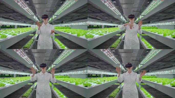 一个穿着白大褂的女子垂直水培种植园使用虚拟现实技术模拟操作界面