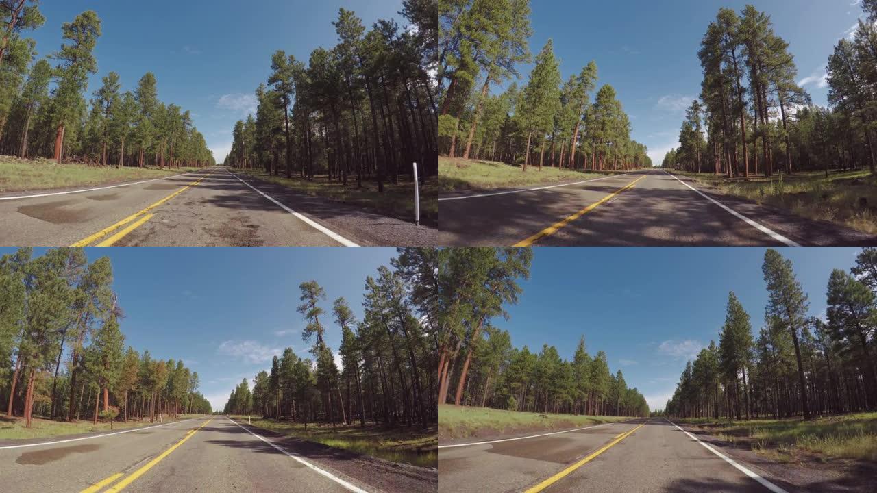 美国户外暑假: 驾驶大西南的森林高速公路