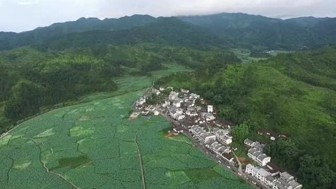 福州市广昌县莲花田全景