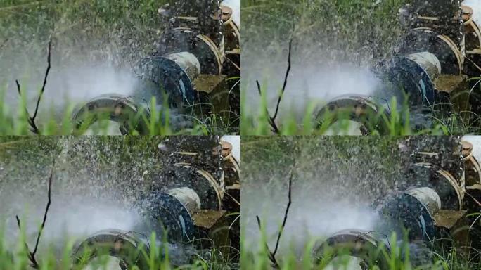 灌溉社区喷灌浇灌滴灌