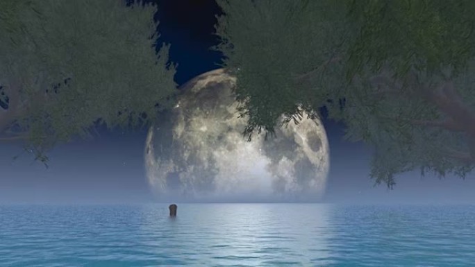 月亮在树上的湖面上