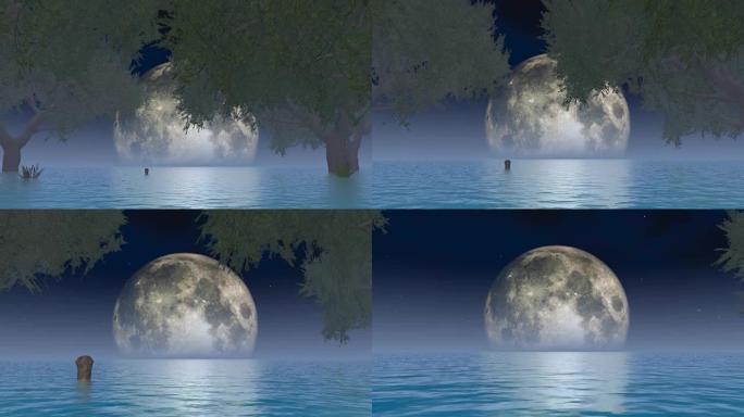 月亮在树上的湖面上