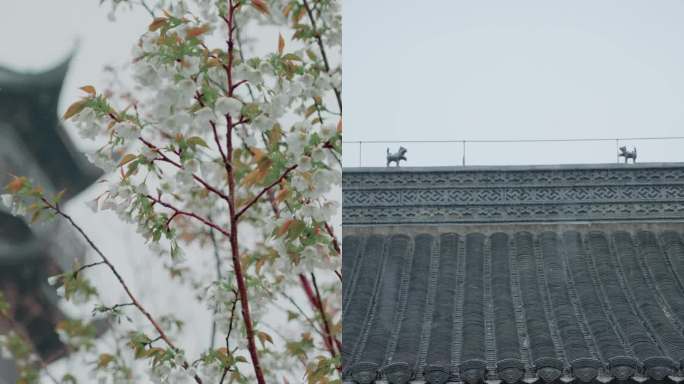 竖屏-古建筑屋檐下雨/花/鱼