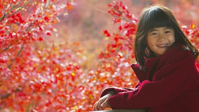 小女孩在日本观赏秋叶