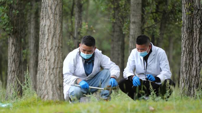 检测检测土壤 农业 有机农场 有机农业