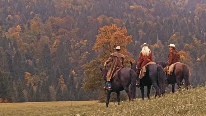 DS两名牛仔和一名女牛仔在山上骑马