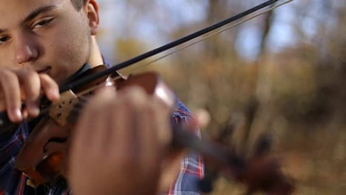 受自然启发的小提琴家