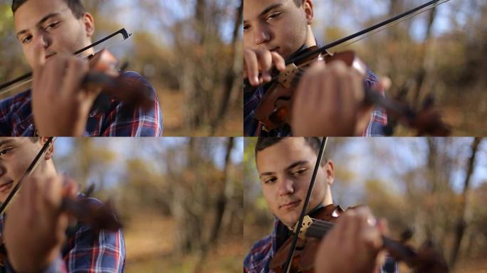 受自然启发的小提琴家