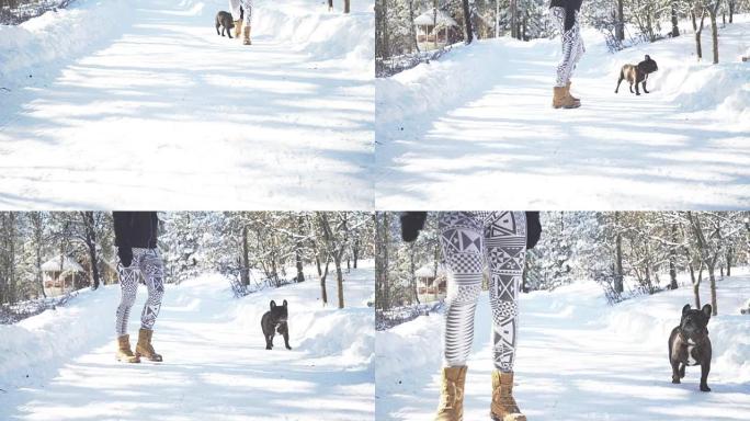女人和她的狗之间的冬季魔法