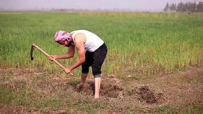 农民在田间工作