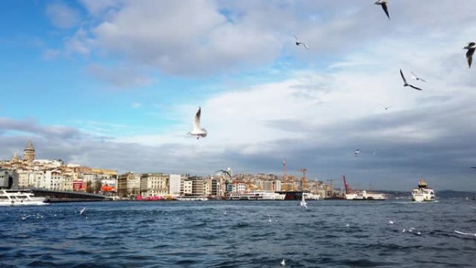 加拉塔和哈利克桥，伊斯坦布尔