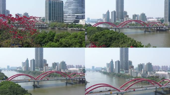广州珠江市中心天河区中山一立交航拍木棉花