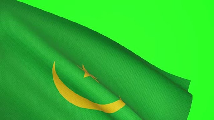毛里塔尼亚国旗的光面