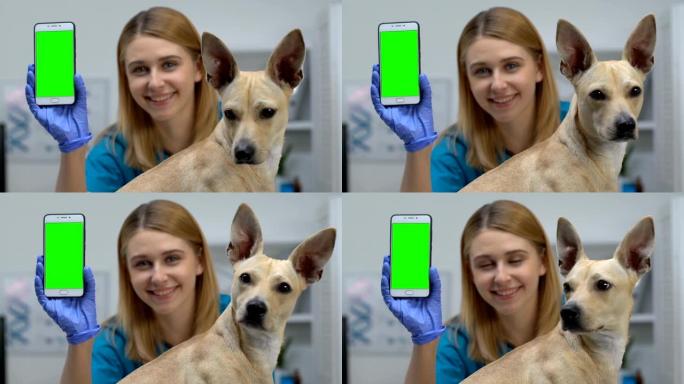 带狗的微笑女兽医显示手机绿屏，在线咨询应用